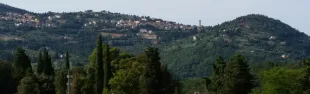 Descrizione immagine non disponibile