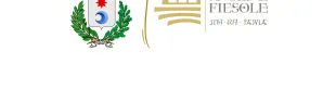 Comunicato