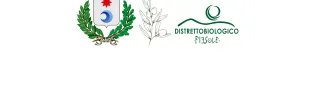 Stemma Comune di Fiesole logo distretto biologico