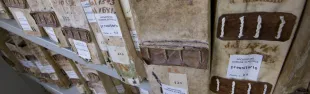 archivio fiesole