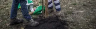 albero 2022