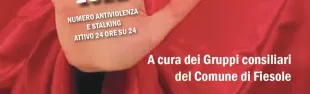 locandina 25 novembre