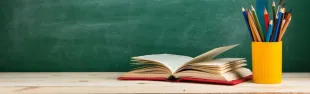 scuola primaria girone