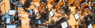 Orchestra