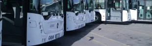 bus