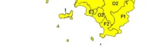 codicegiallo