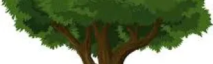 albero