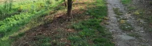 valle del mugnone