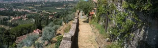 Fondazione Michelucci