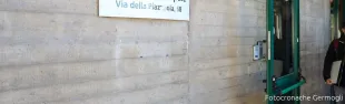 camerata