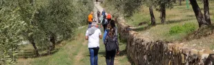 Sentiero Stilicone