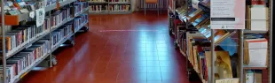 Biblioteca 