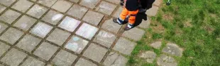 Gli studenti delle scuole medie di Fiesole e Girone protagonisti della giornata conclusiva del progetto “Cittadini attivi crescono”, dedicato alla cultura della Protezione Civile, della prevenzione e della cittadinanza attiva.