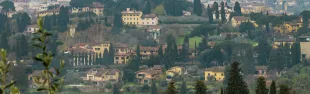 verde urbano