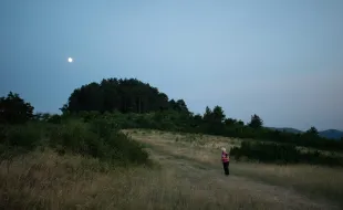 sddf