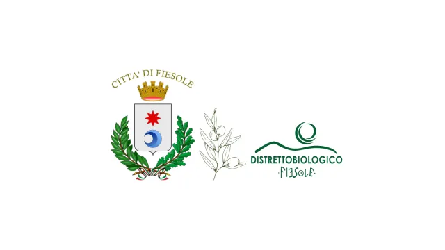 Notizia monitoraggio mosca olearia