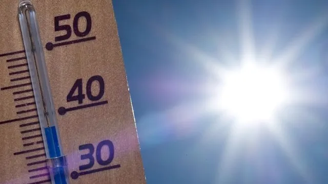 Caldo