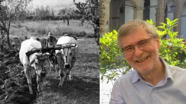 ROberto Zuri