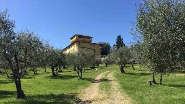fattoria maiano
