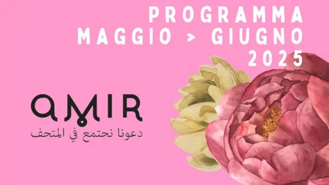 Amir primavera 25