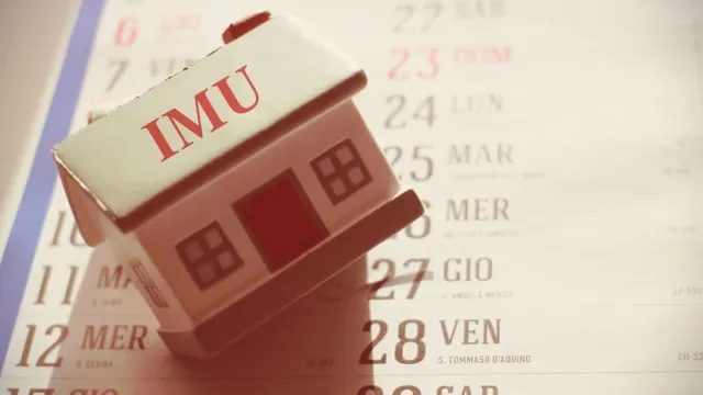 imu