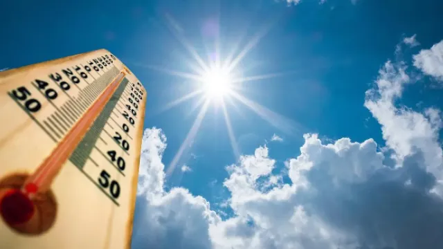 caldo