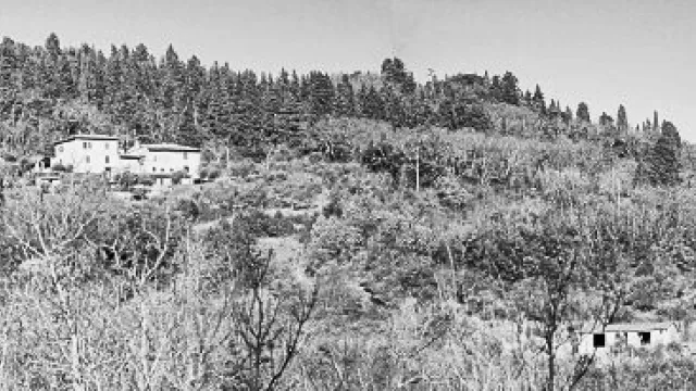 Immagine PdR via di Basciano