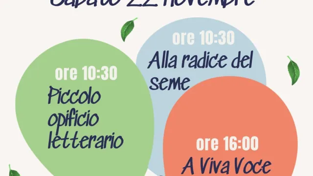 germogli 22 novembre