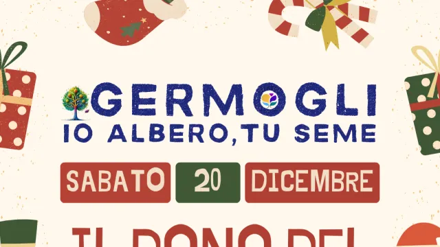 germogli Natale