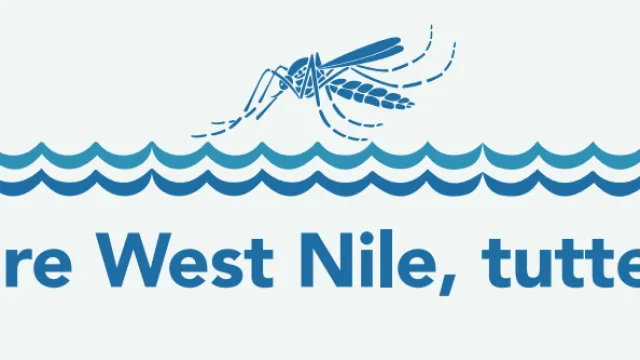 west nile virus 