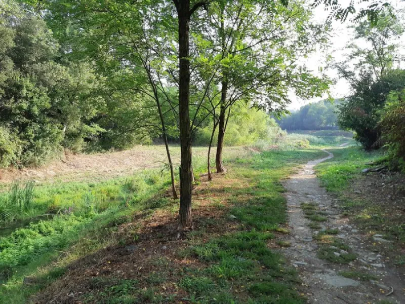 valle del mugnone