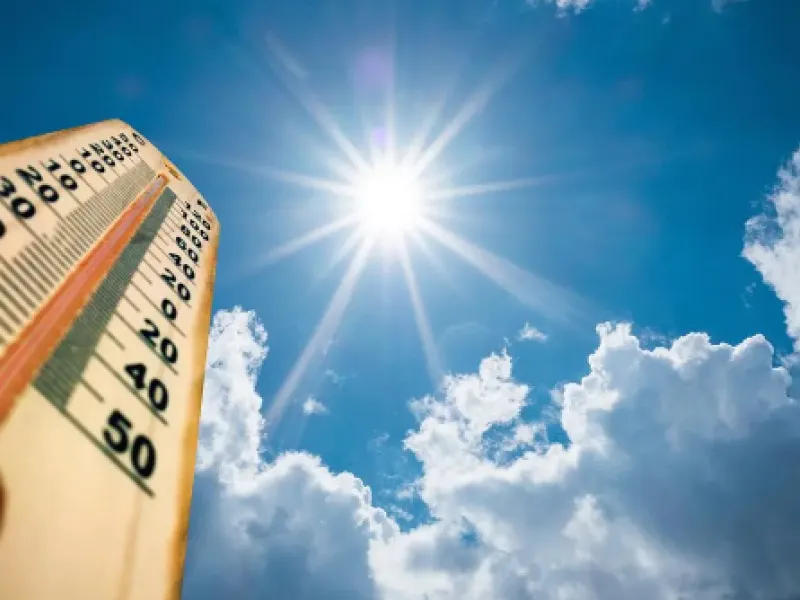 caldo